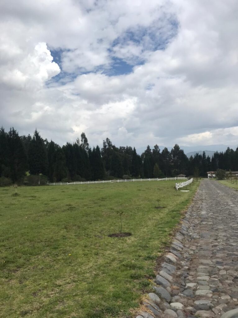 Vista adicional de terreno en venta en Pedro Moncayo, Pichincha