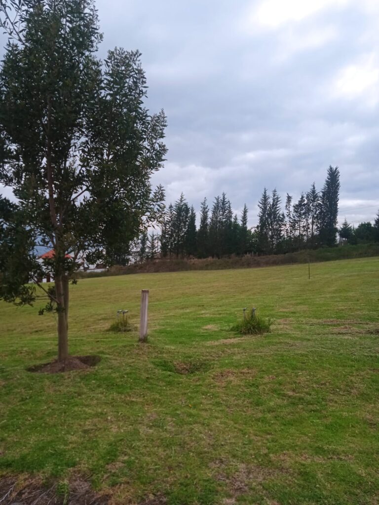 Vista adicional de terreno en venta en Pedro Moncayo, Pichincha