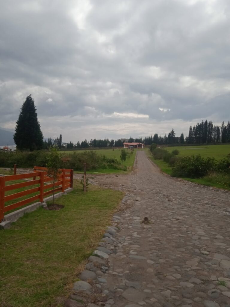 Vista adicional de terreno en venta en Pedro Moncayo, Pichincha