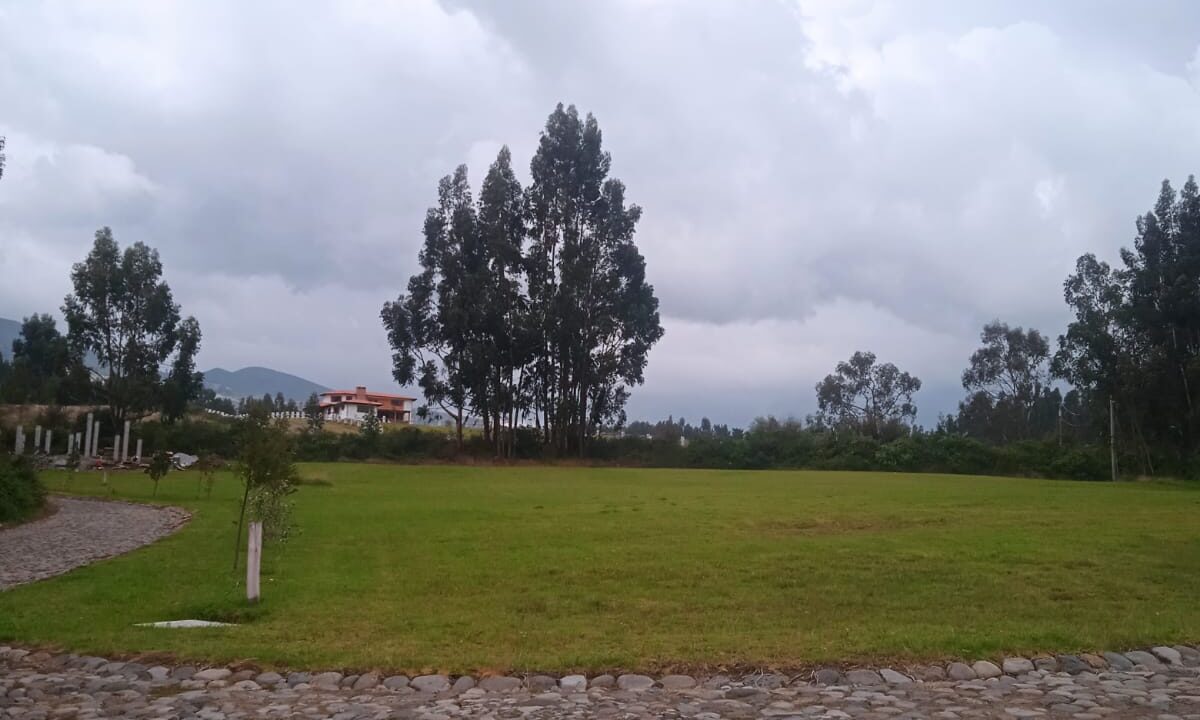 WhatsApp Image 2023-12-11 at 11.33.09 AM (2)