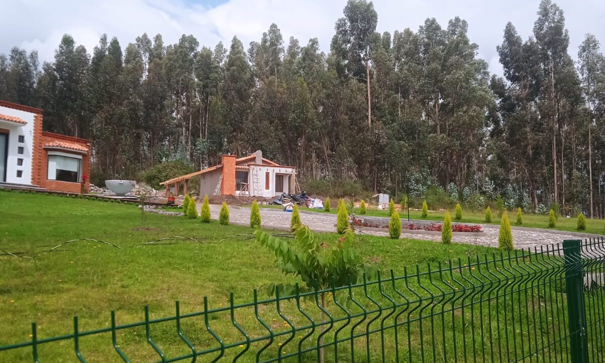 WhatsApp Image 2023-12-11 at 11.33.09 AM (3)