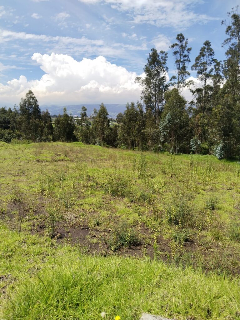 Vista adicional de terreno en venta en Alangasi, Quito, Pichincha