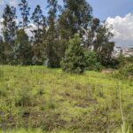 Vista adicional de terreno en venta en Alangasi, Quito, Pichincha