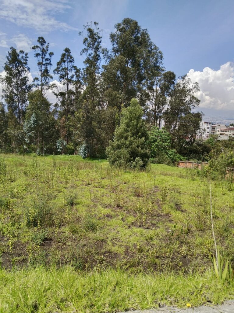 Vista adicional de terreno en venta en Alangasi, Quito, Pichincha
