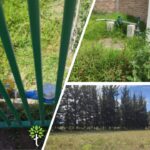 Vista adicional de terreno en venta en Malchingui, Pedro Moncayo, Pichincha