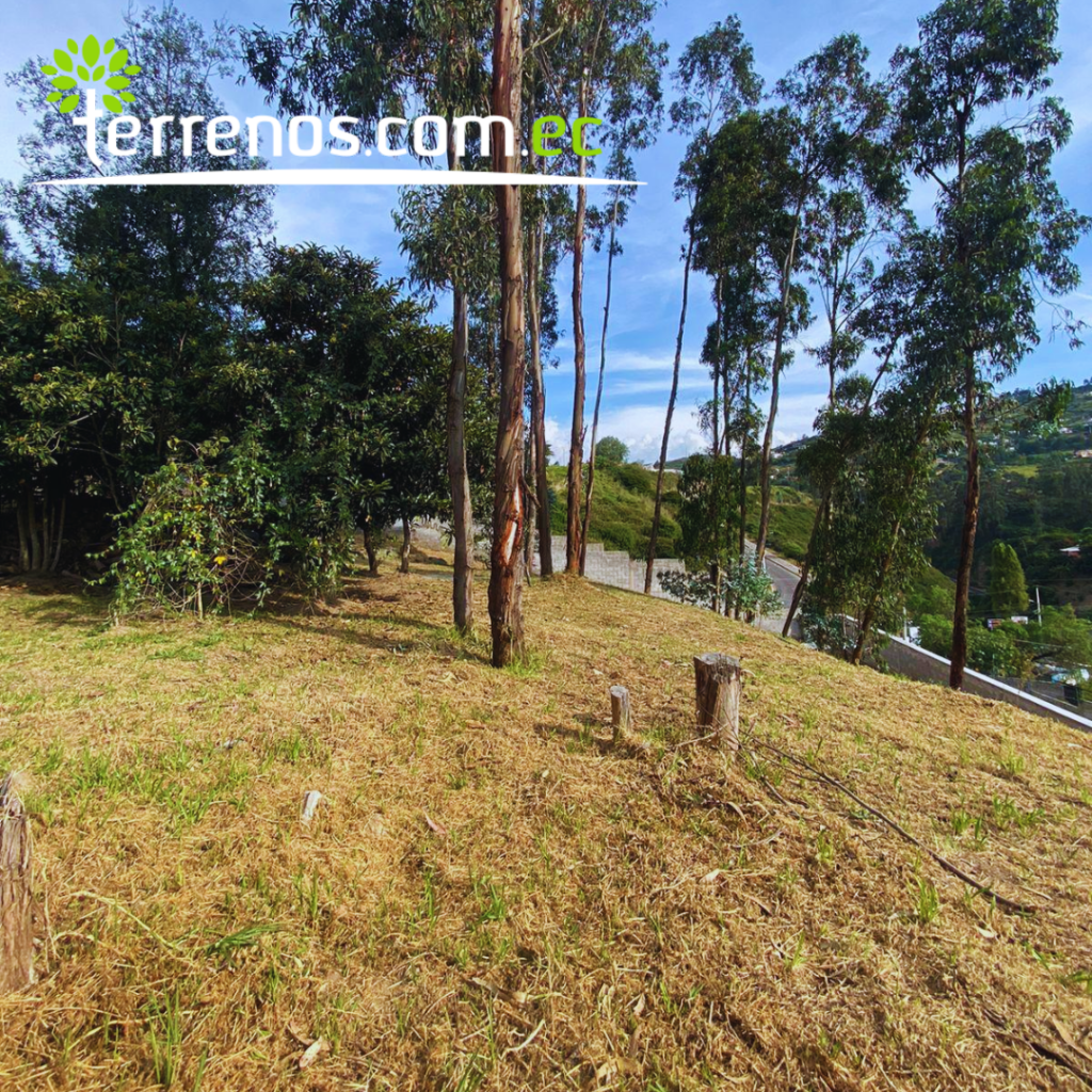 Vista adicional de terreno en venta en Tumbaco, Quito, Pichincha