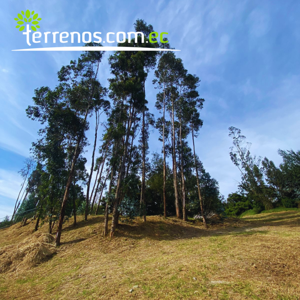 Vista adicional de terreno en venta en Tumbaco, Quito, Pichincha