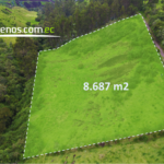 Vista adicional de terreno en venta en Pifo, Quito, Pichincha