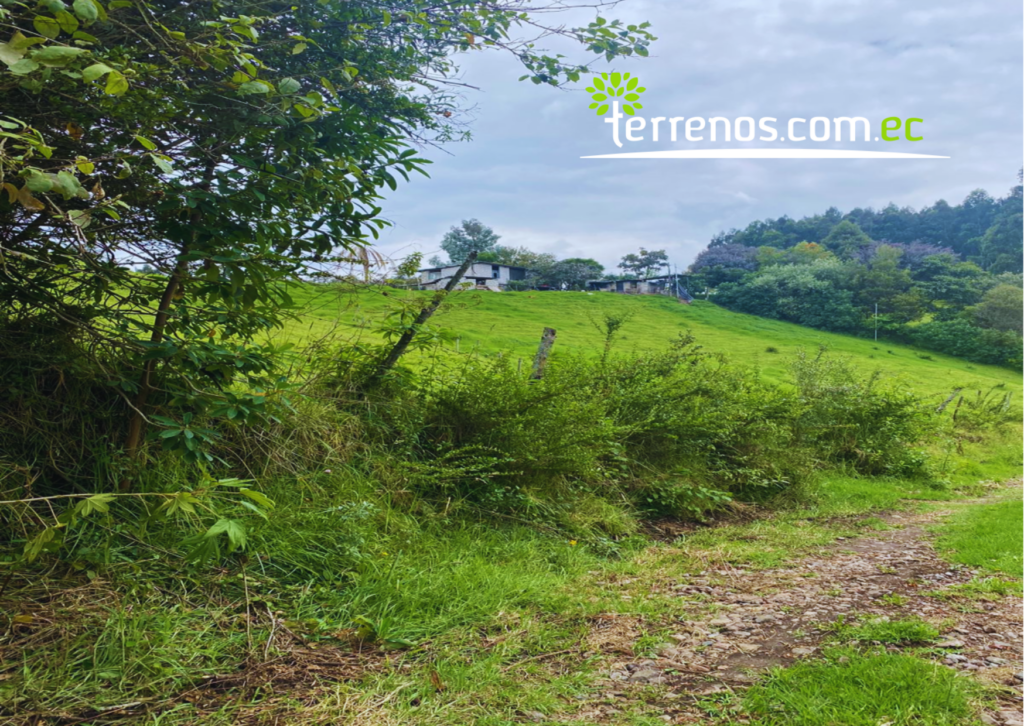 Vista adicional de terreno en venta en Pifo, Quito, Pichincha