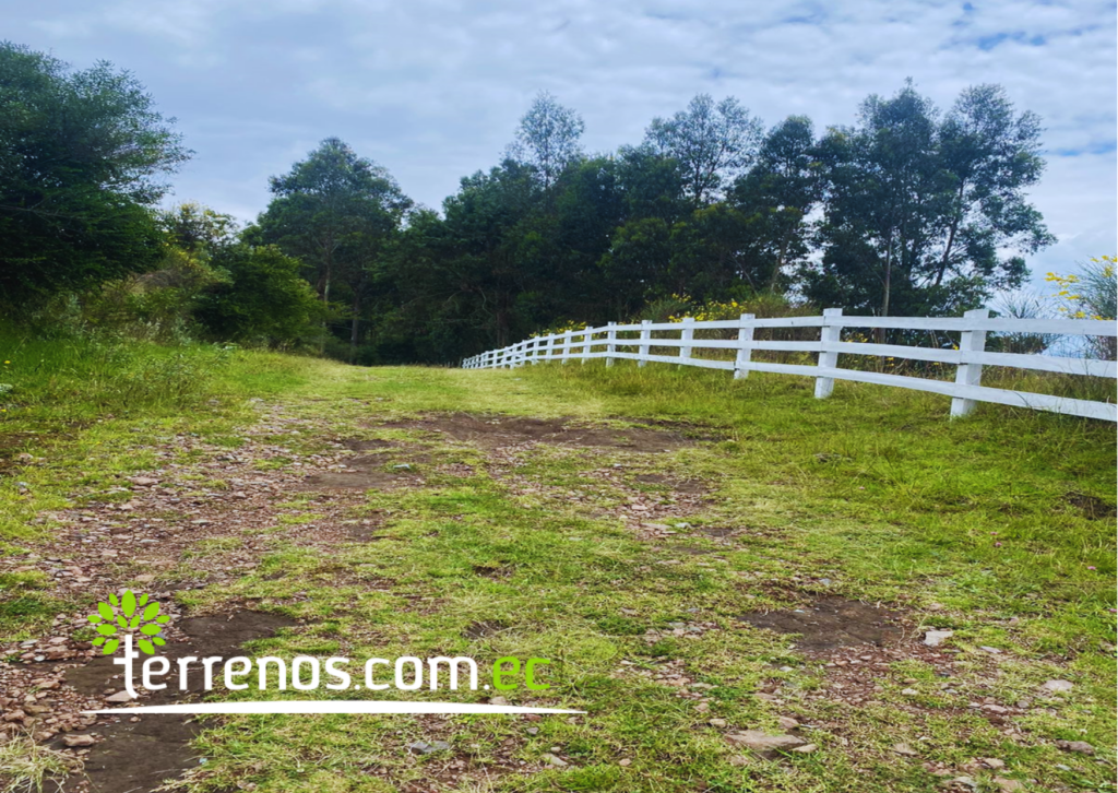 Vista adicional de terreno en venta en Pifo, Quito, Pichincha