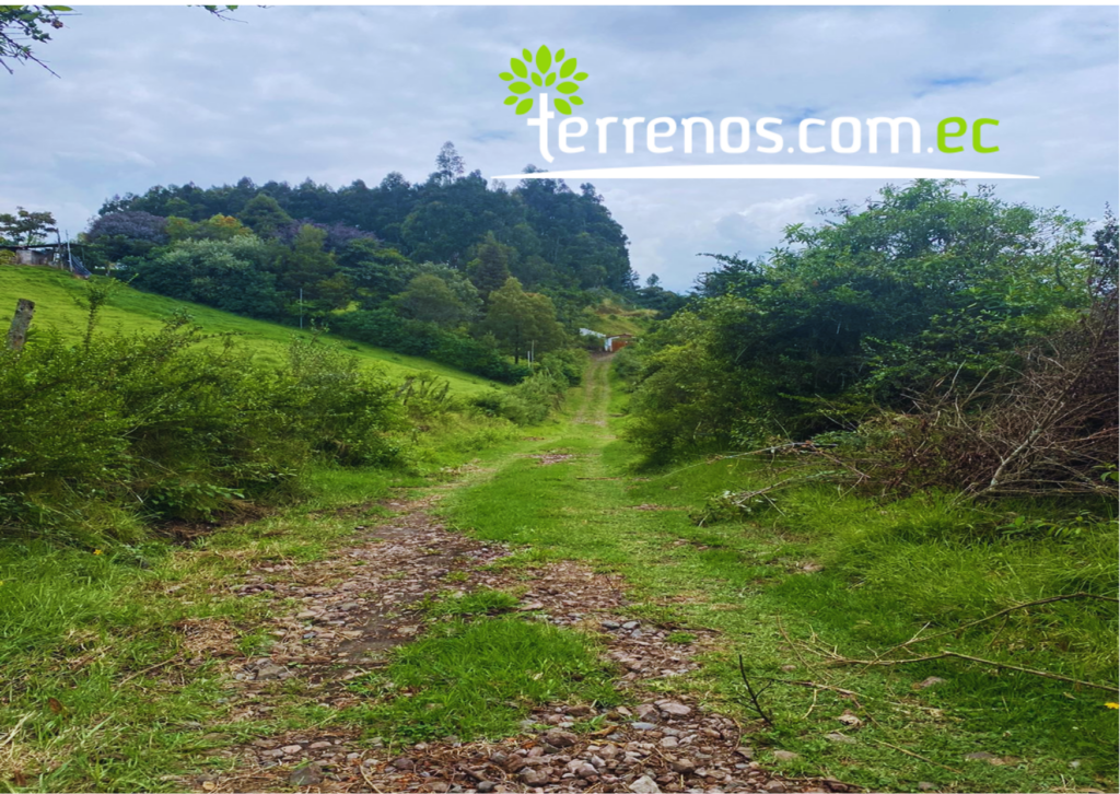 Vista adicional de terreno en venta en Pifo, Quito, Pichincha