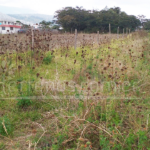 Vista adicional de terreno en venta en LLano Grande, Quito, Pichincha