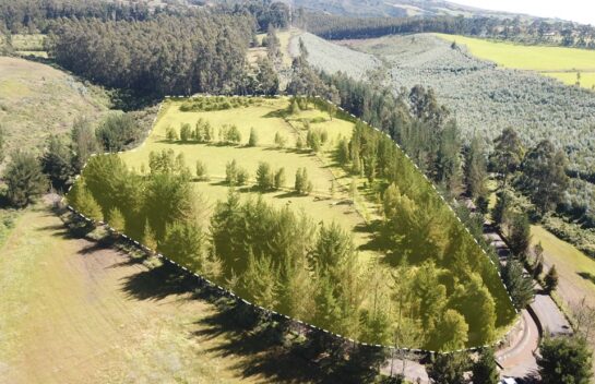 Terreno de venta Tabacundo a 17 hectáreas a 4 minutos del Parque central