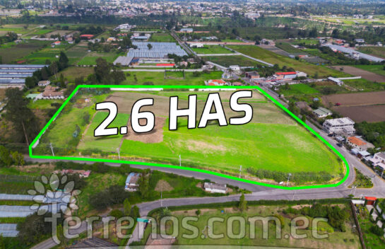 Terreno de venta en Tababela 2.6 has, centro de Tababela.