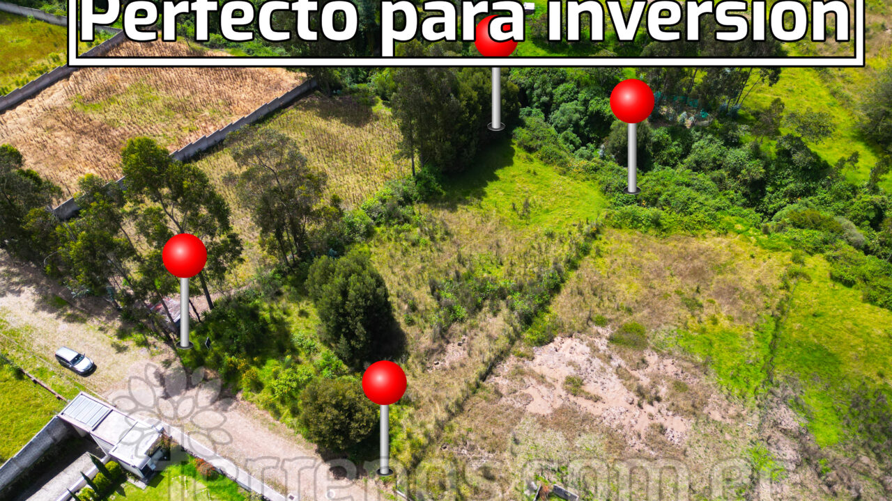 Mesa de trabajo 8