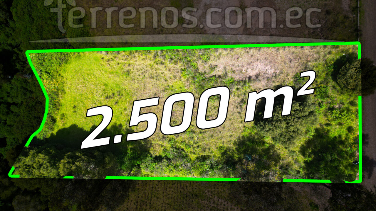 Mesa de trabajo 9