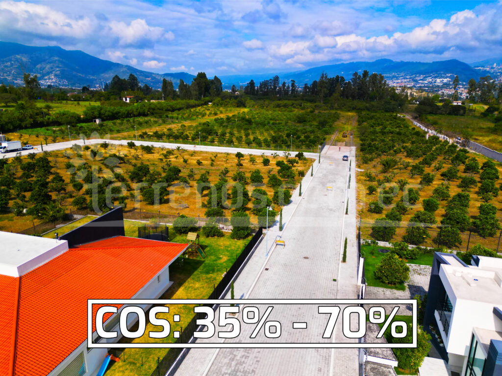 Mesa de trabajo 5