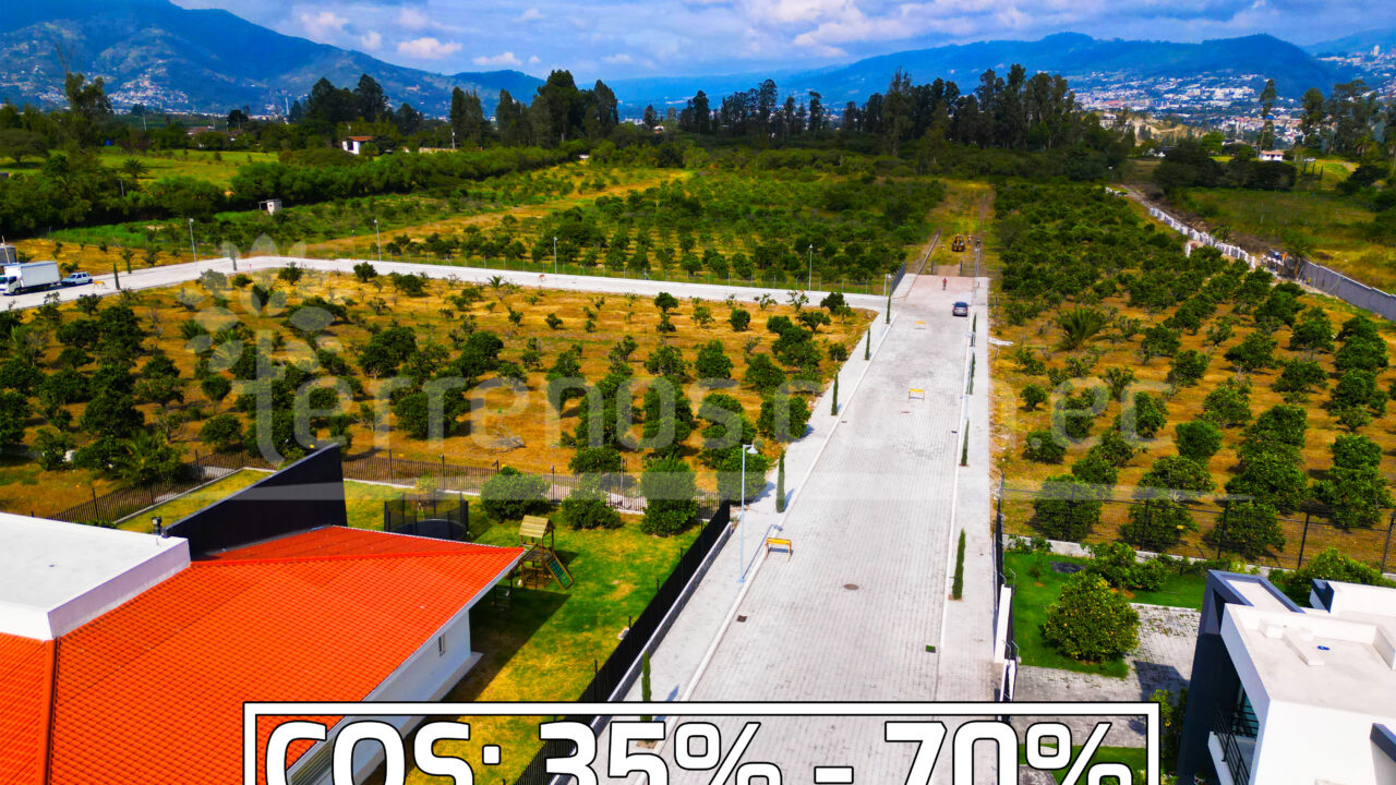 Mesa de trabajo 5