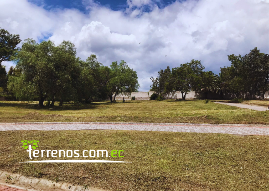 Vista adicional de terreno en venta en Puembo, Quito, Pichincha