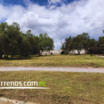 Vista adicional de terreno en venta en Puembo, Quito, Pichincha