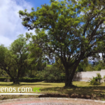 Vista adicional de terreno en venta en Puembo, Quito, Pichincha