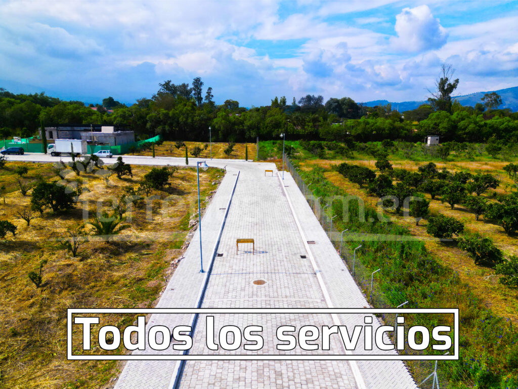 Mesa de trabajo 6