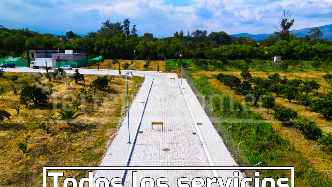 Mesa de trabajo 6