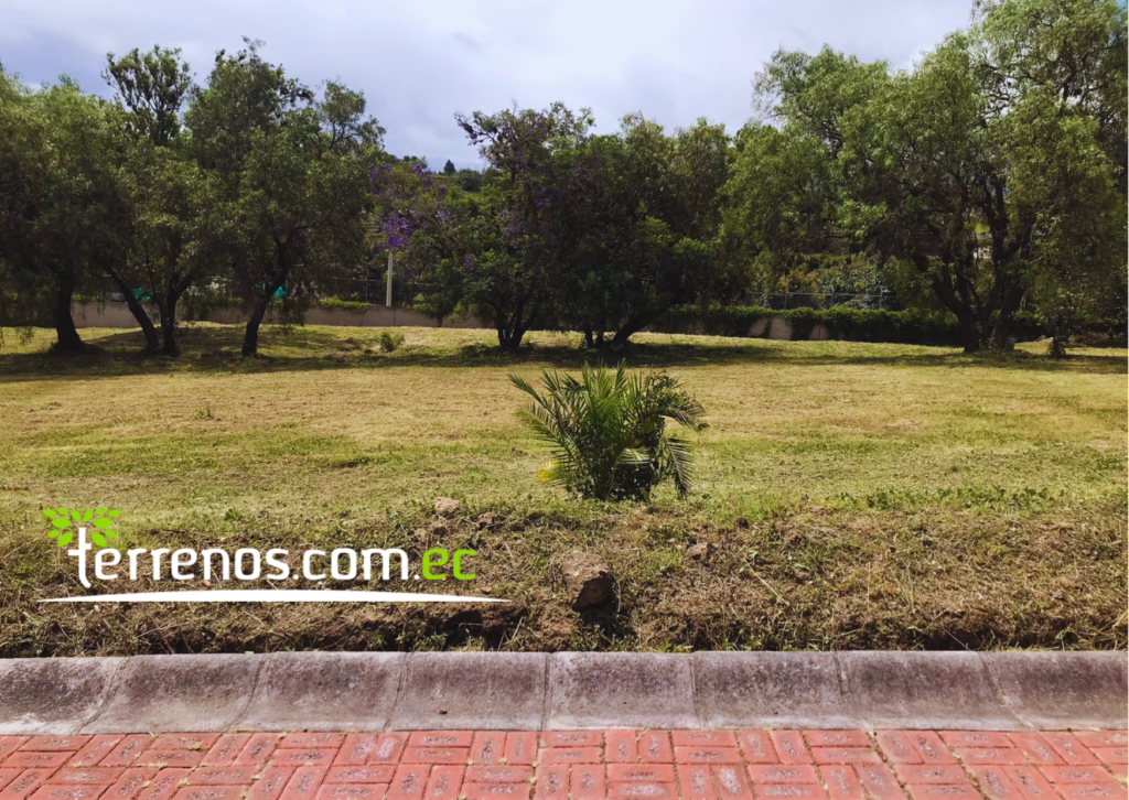Vista adicional de terreno en venta en Puembo, Quito, Pichincha
