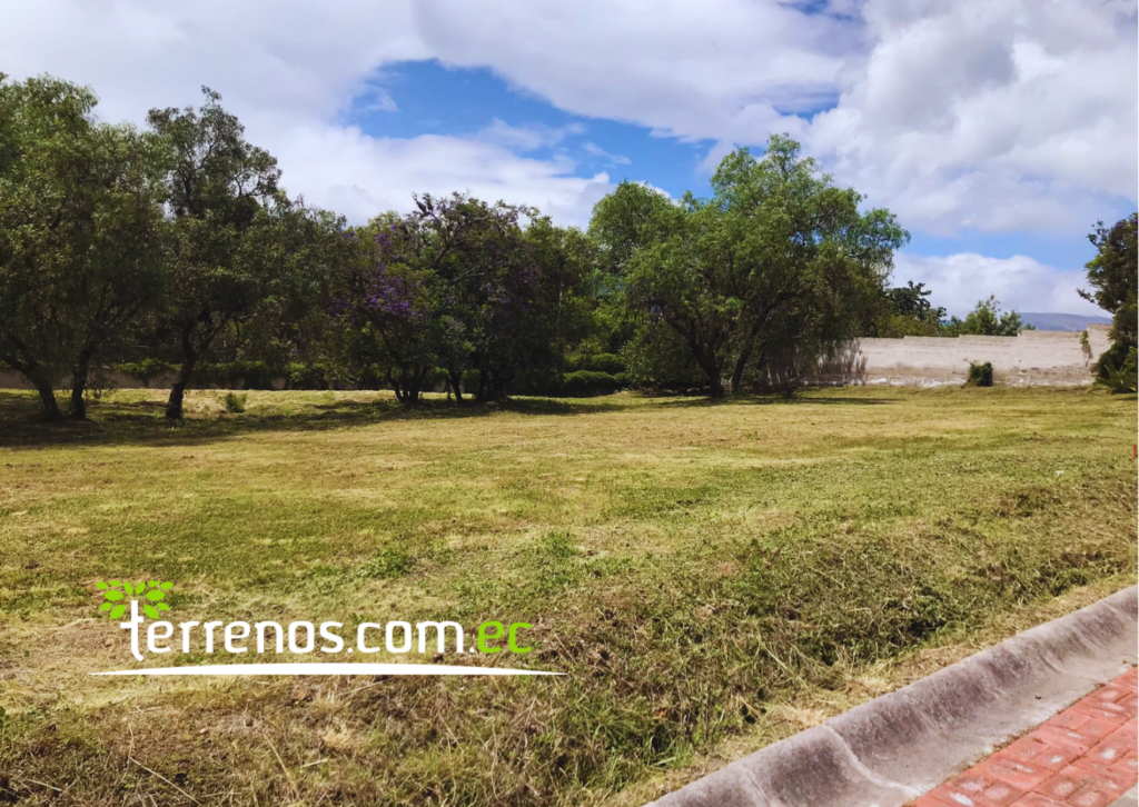 Vista adicional de terreno en venta en Puembo, Quito, Pichincha