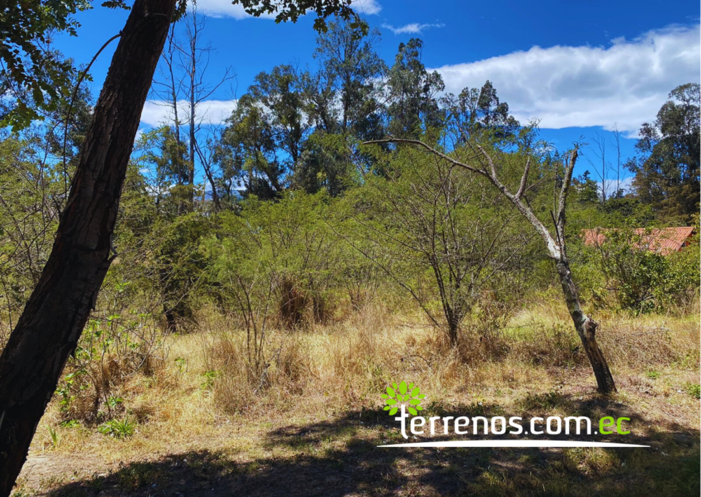 Vista adicional de terreno en venta en Tumbaco, Quito, Pichincha