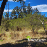 Vista adicional de terreno en venta en Tumbaco, Quito, Pichincha