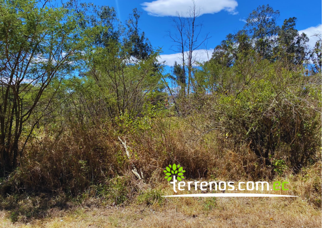 Vista adicional de terreno en venta en Tumbaco, Quito, Pichincha