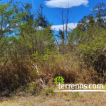 Vista adicional de terreno en venta en Tumbaco, Quito, Pichincha