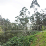 Vista adicional de terreno en venta en El Inca, Quito, Pichincha
