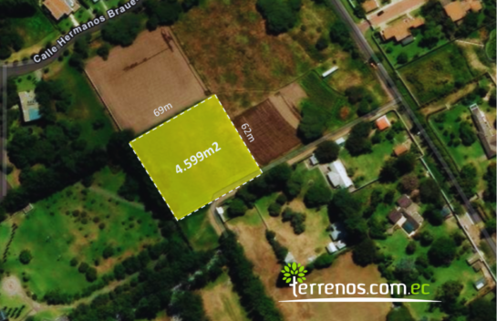 Terreno Independiente de venta en Puembo 4.599 m2, Vía Arrayanes.