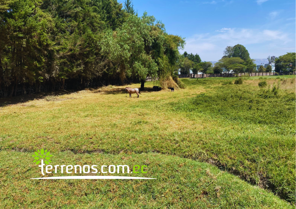 Vista adicional de terreno en venta en Puembo, Quito, Pichincha