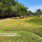 Vista adicional de terreno en venta en Puembo, Quito, Pichincha