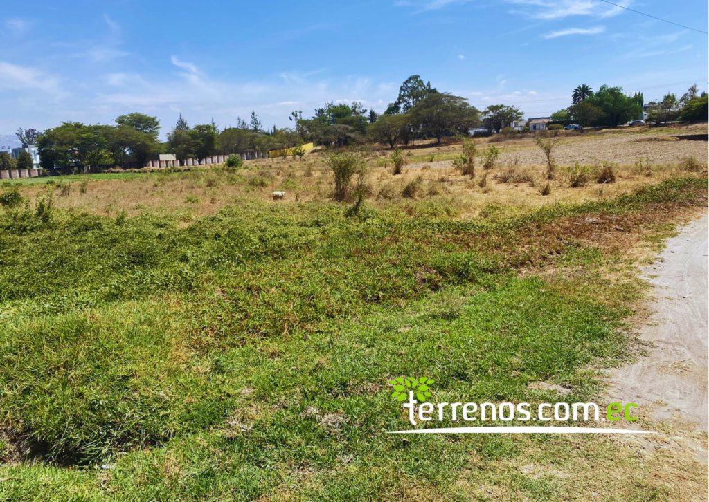 Vista adicional de terreno en venta en Puembo, Quito, Pichincha