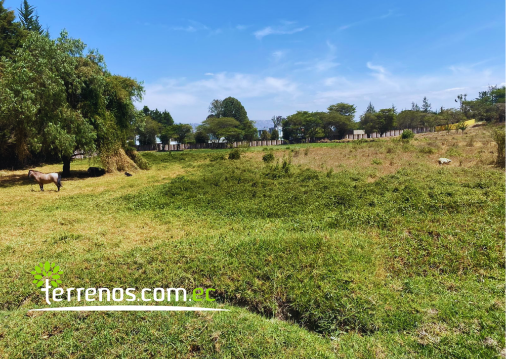 Vista adicional de terreno en venta en Puembo, Quito, Pichincha