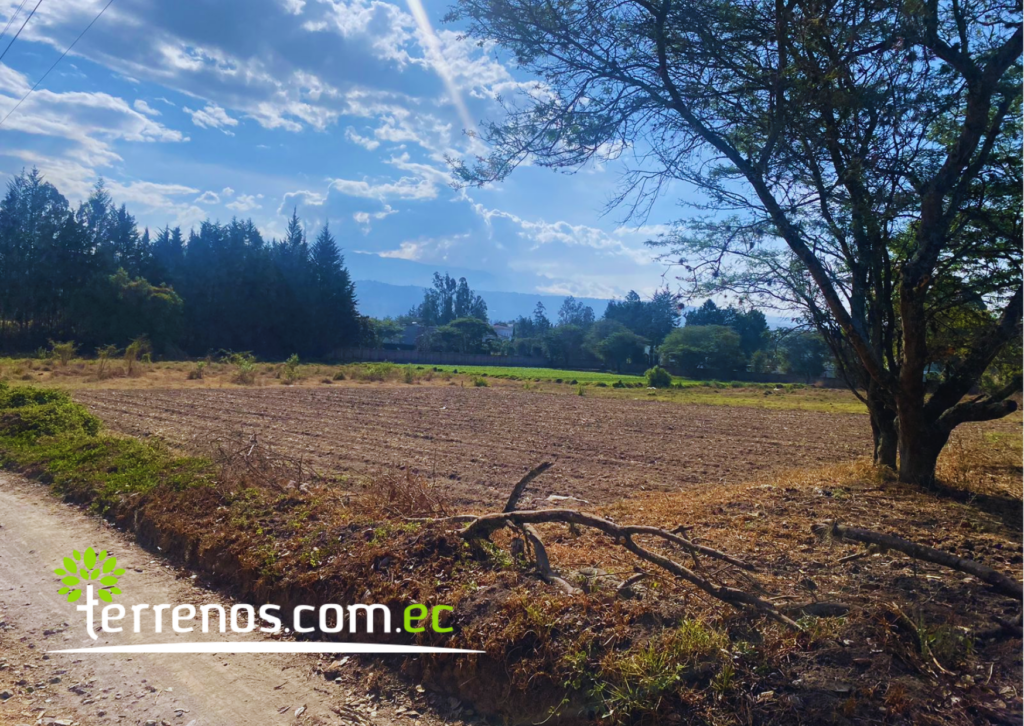 Vista adicional de terreno en venta en Puembo, Quito, Pichincha