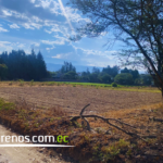 Vista adicional de terreno en venta en Puembo, Quito, Pichincha