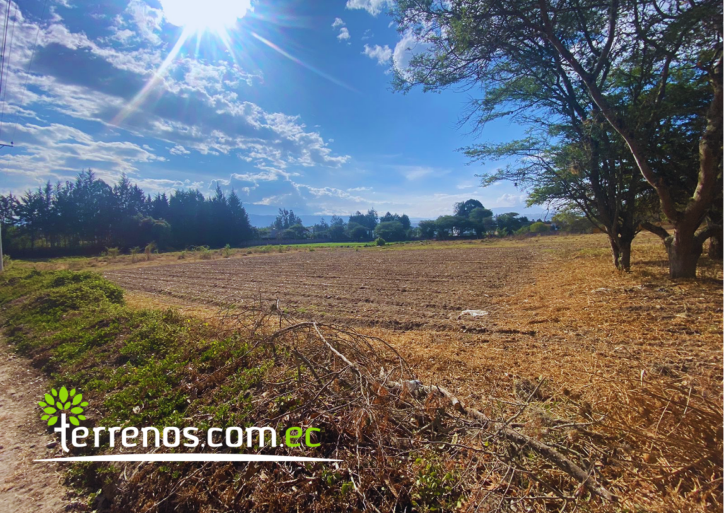 Vista adicional de terreno en venta en Puembo, Quito, Pichincha