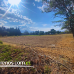 Vista adicional de terreno en venta en Puembo, Quito, Pichincha