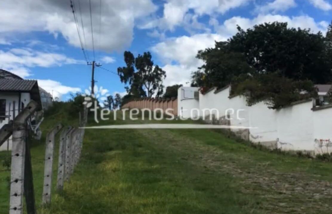 puembojoseborja2