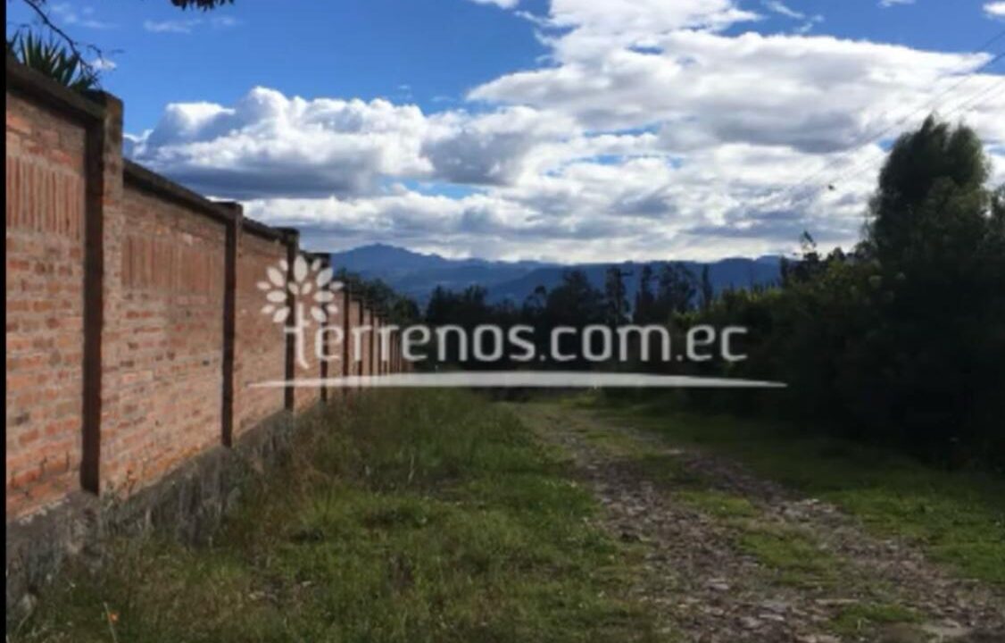 puembojoseborja3