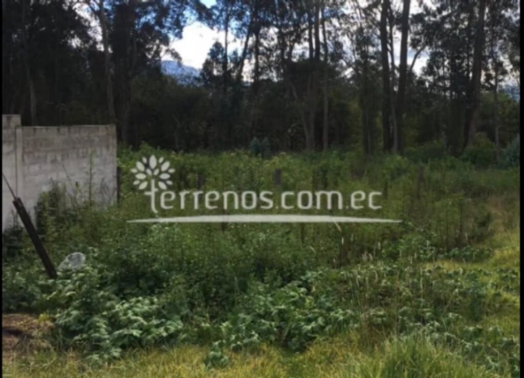 Vista adicional de terreno en venta en Puembo, Quito, Pichincha