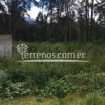 Vista adicional de terreno en venta en Puembo, Quito, Pichincha