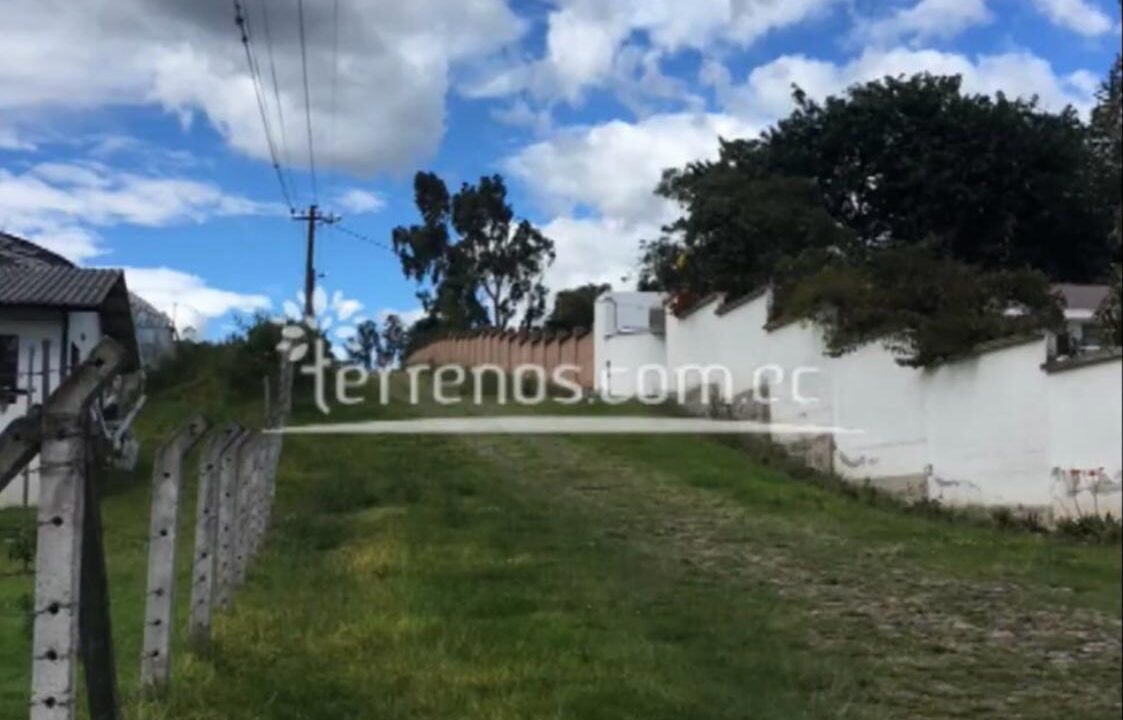 puembojoseborja5