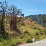 Vista adicional de terreno en venta en Cumbayá, Quito, Pichincha