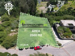 Terreno de venta en Tumbaco 2500 m2, Urbanización Pachosalas, Club Casa de Campo, Ruta viva